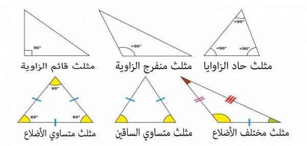 الزاويتان الحادتان في المثلث القائم الزاوية